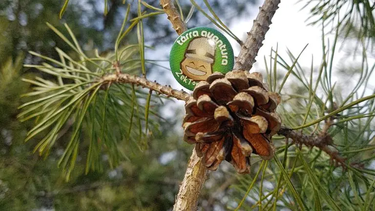 Tèrra Aventura du Bruit dans les Bruyères