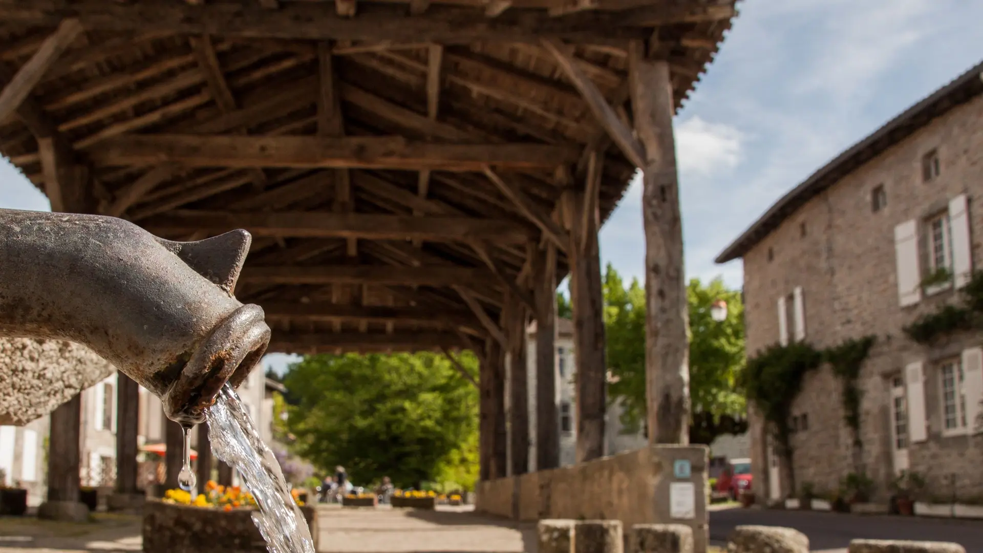 Mortemart Avril 2018 © Sabine Massé-6 (1)