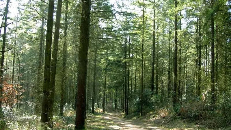 Sentier Douas Vias_1