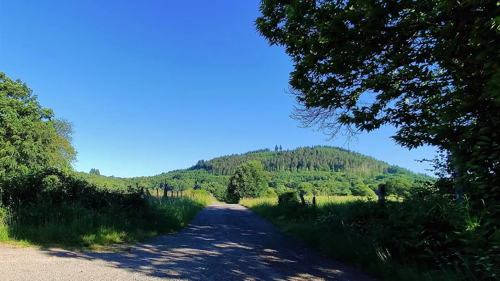 POI 3 - Vue sur le Mont Larron depuis la croix de Lachaud