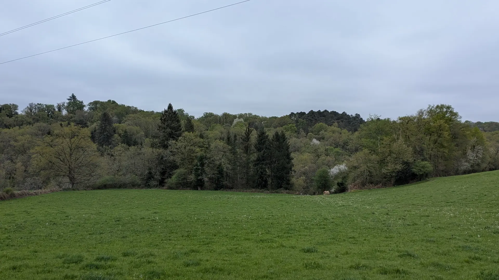 PXL_20260410_080422210