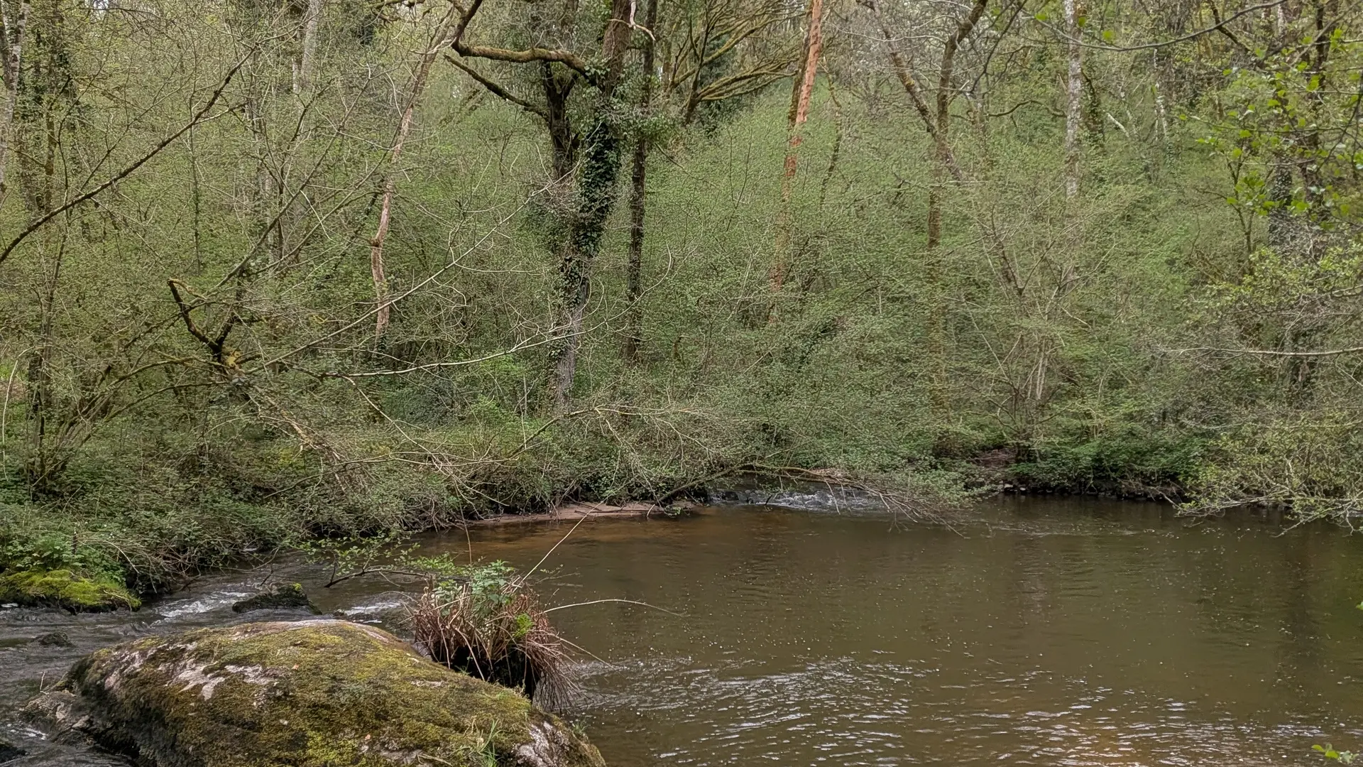 PXL_20260410_082224184.MP