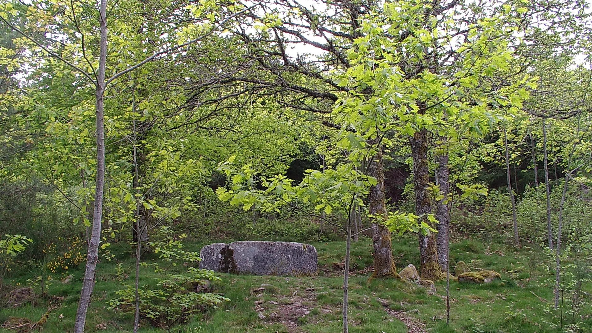 Peyrat Bac à la cube