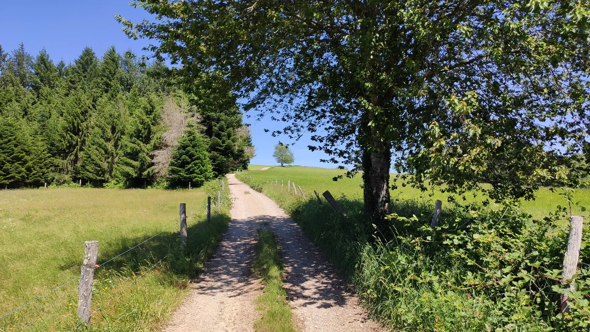 Photo vitrine 1 -Sur le chemin du Léry