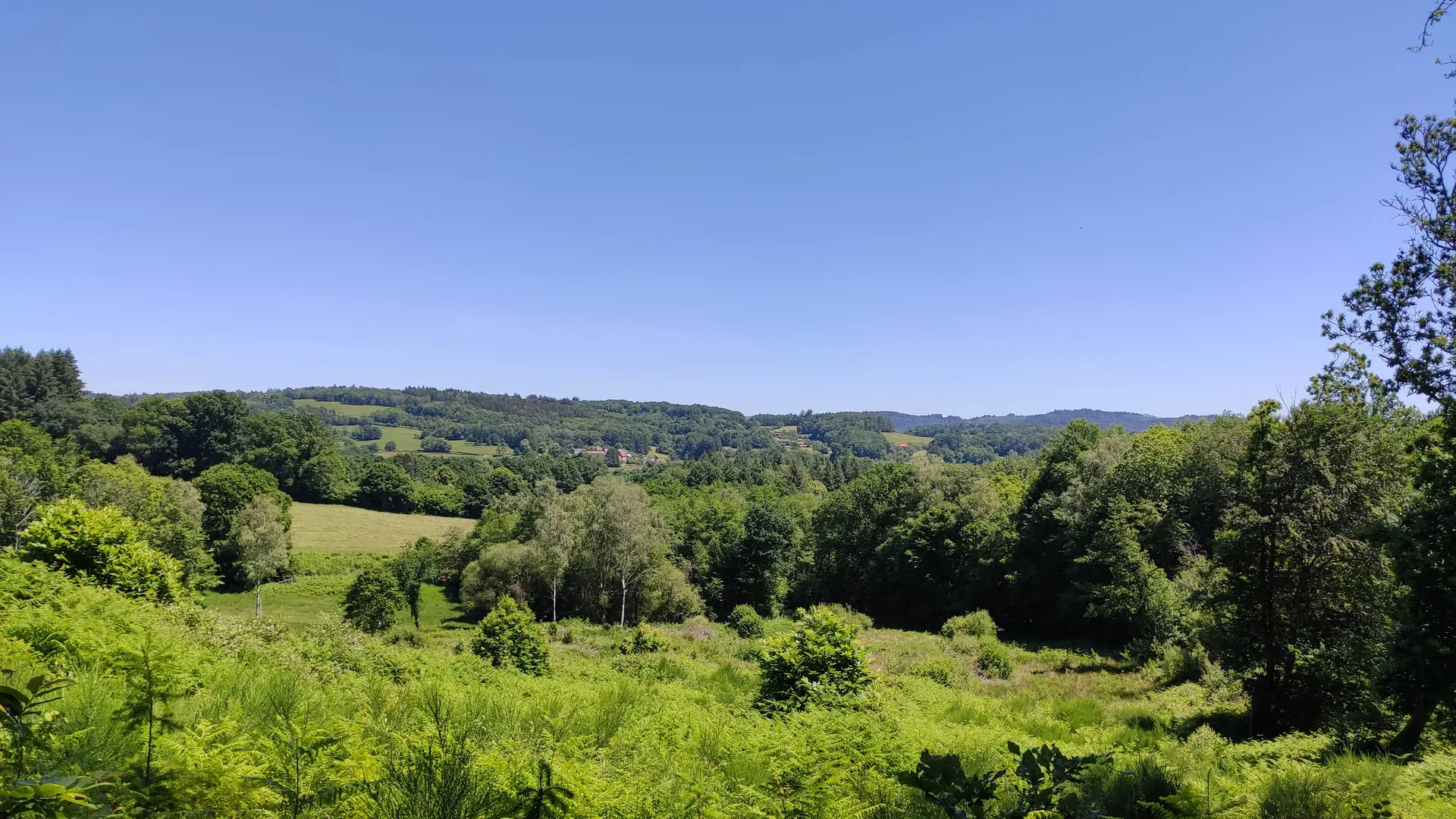 Photo vitrine 2 - Vue sur Conjat