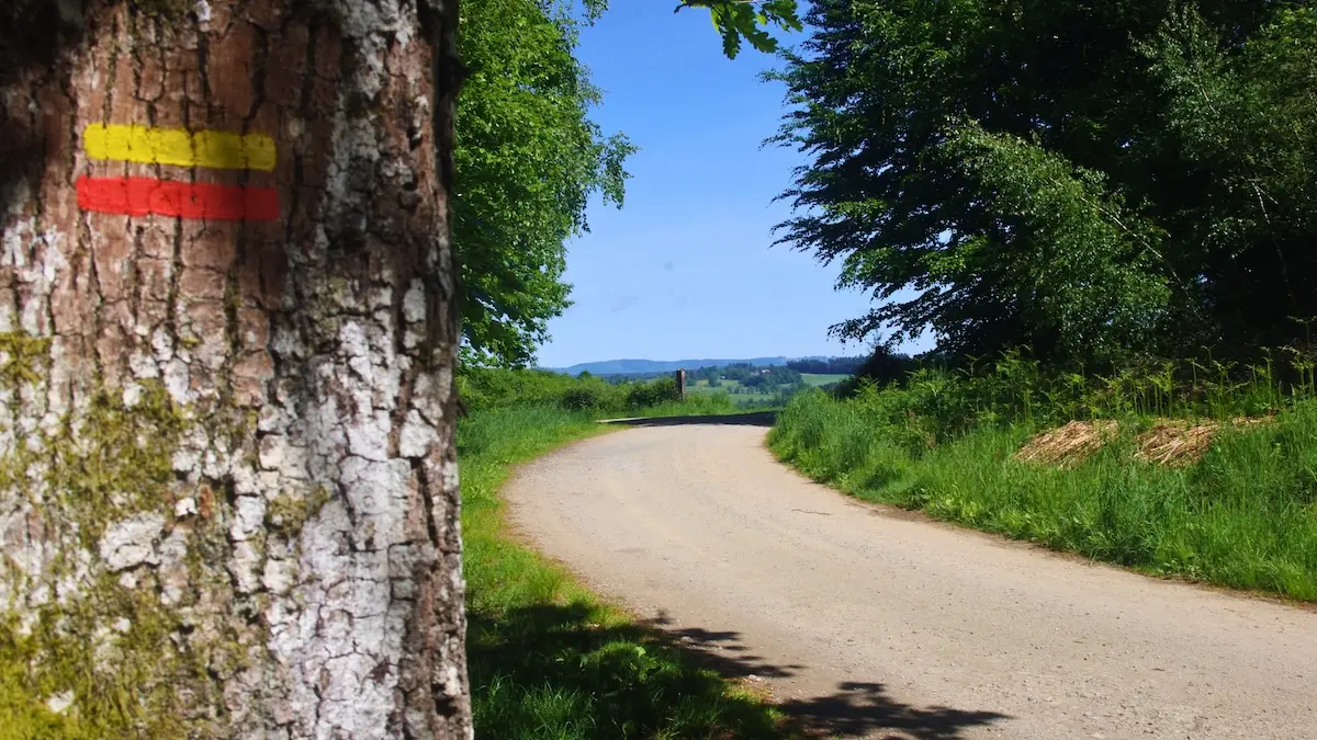 Piste de Lifarnet - GRPMBL - (St-Léonard-de-Noblat) - Mai 2025