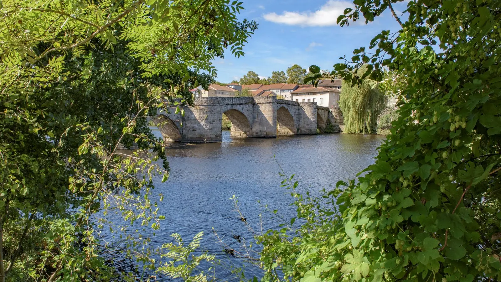 Pont saint Martial