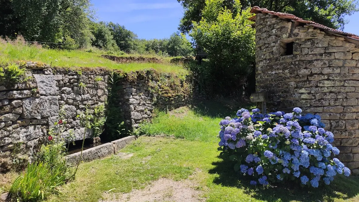 Quenouille - Peyrat-le-Château - (c) Pays Monts et Barrages