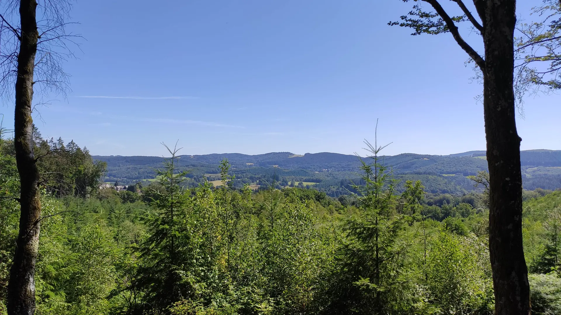 Rempnat - Circuit du Puy Pointu