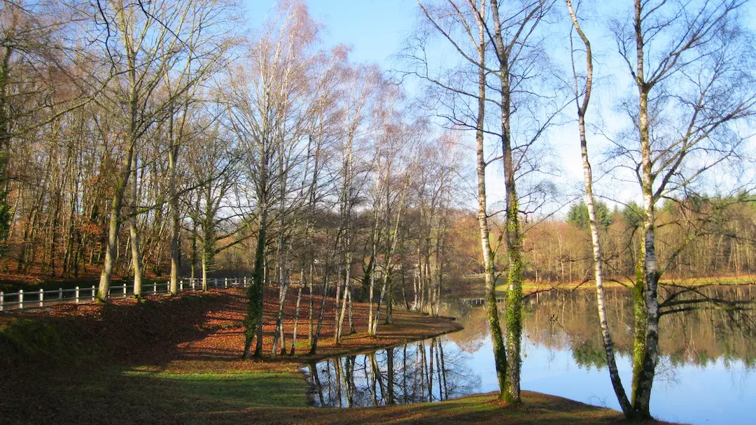 Réserve d'eau de la Mazelle en fin d'automne web
