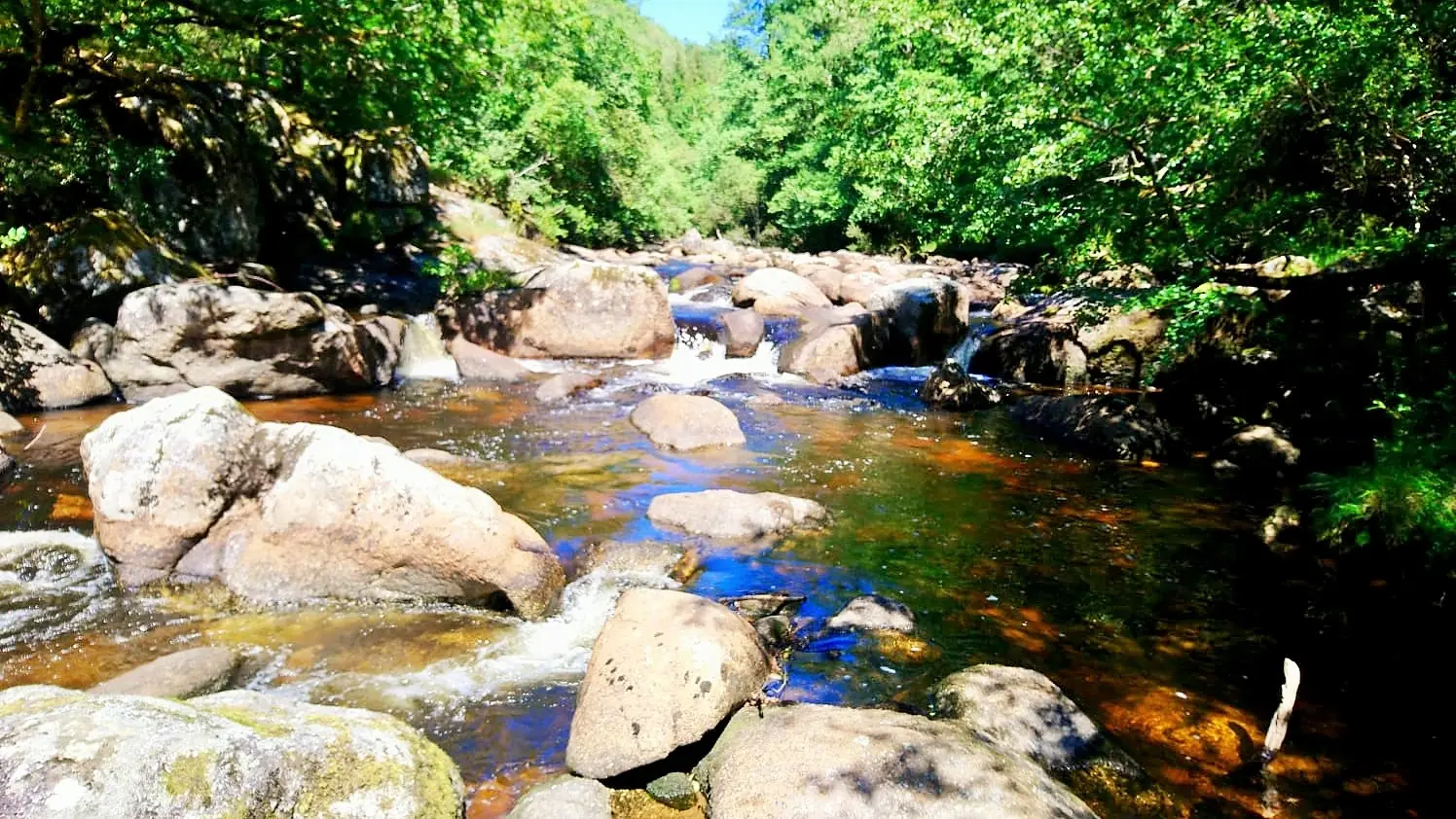 Rochers de Négremont  (1)
