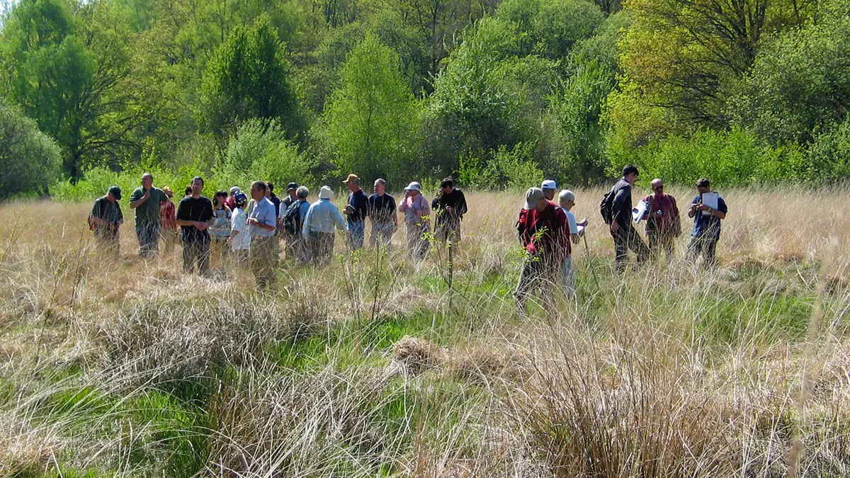 SAINT LEGER LA MONTAGNE Tourbière des Dauges