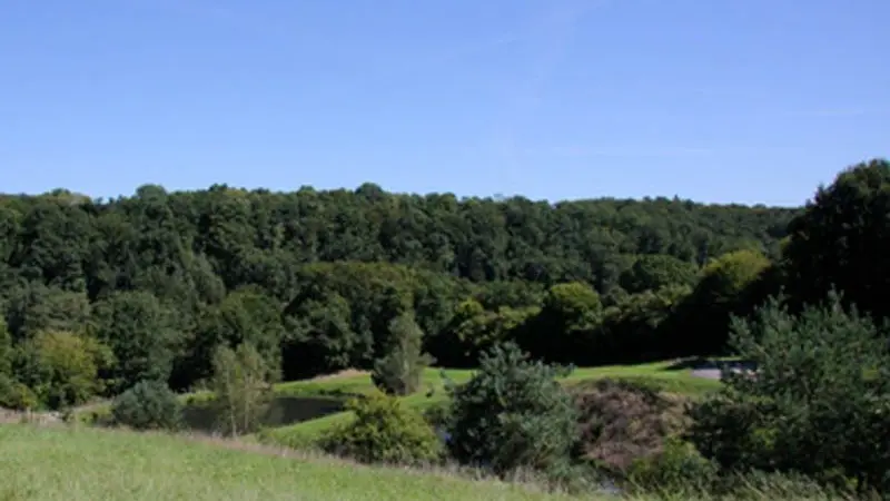 Sentier Boucle du Parleur_4