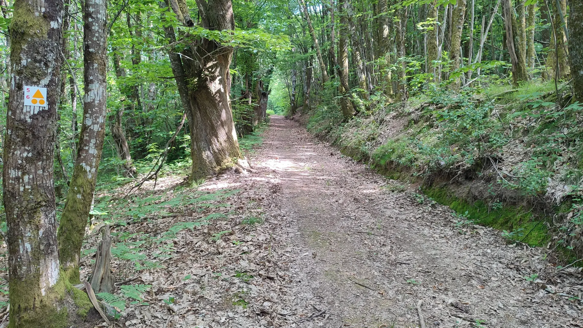 Saint-Moreil - Circuits VTT 5 et 6 - Pays Monts et Barrages - Aurélien Clavreul