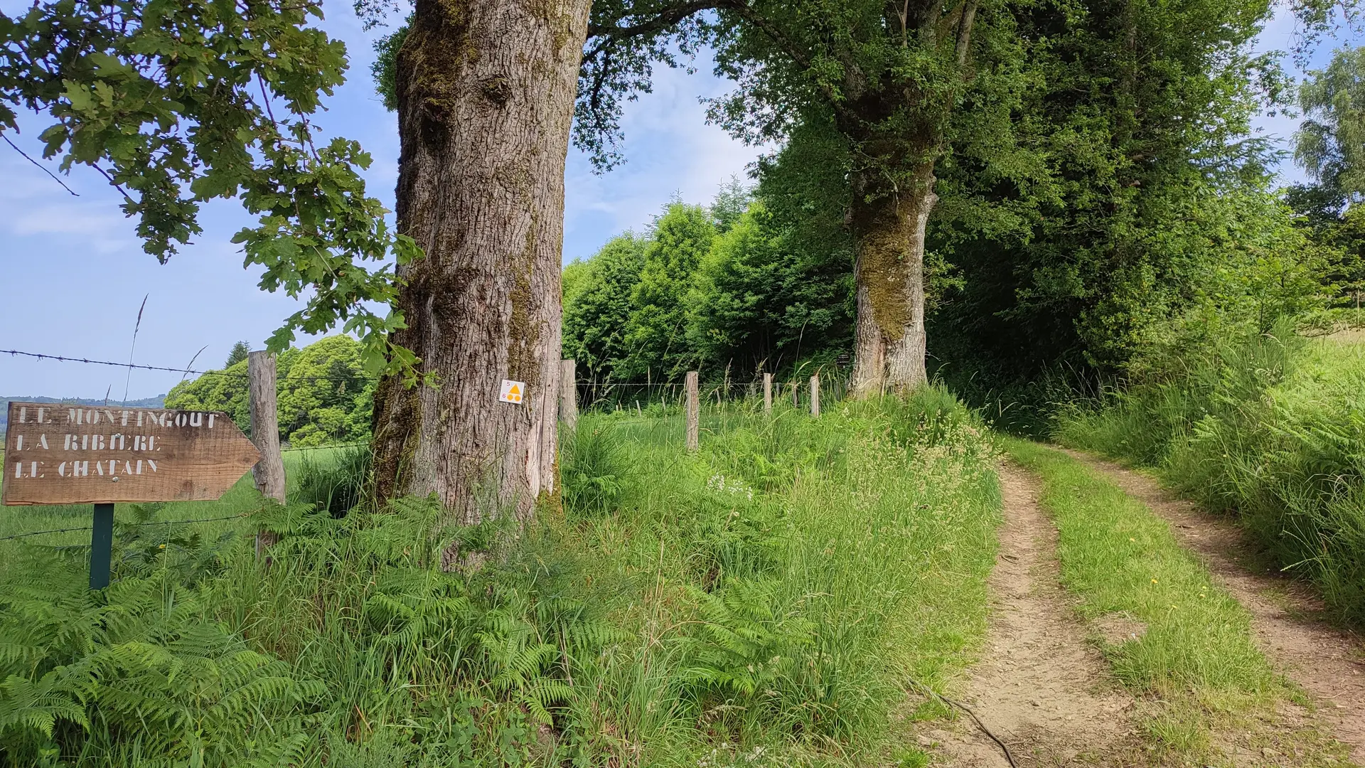Saint-Moreil - Circuits VTT 5 et 6 - Pays Monts et Barrages - Aurélien Clavreul