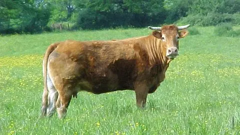 Sentier Les Oiseaux_2