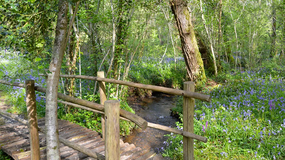 Sentier-Musical-Pageas_passerelle©Clotilde-Benni