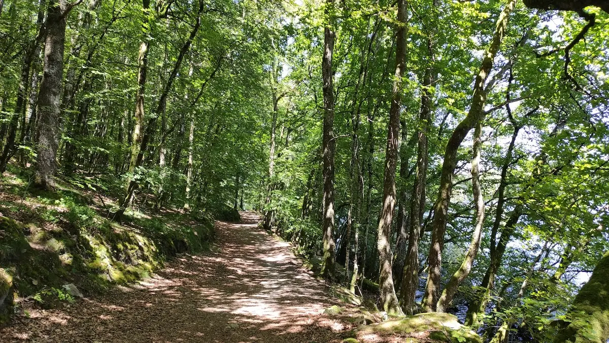 Sentier de rive du lac de Vassivière - Beaumont-du-Lac  (c) Pays Monts et Barrages