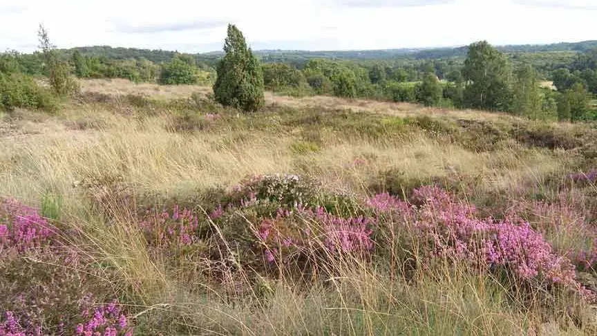 Sentier des bergers et tuiliers_2