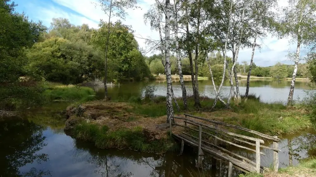 Tèrra Avenura du bruit dans les bruyères