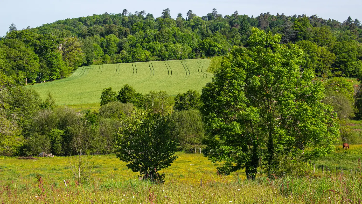 St Jouvent Les Carrieres