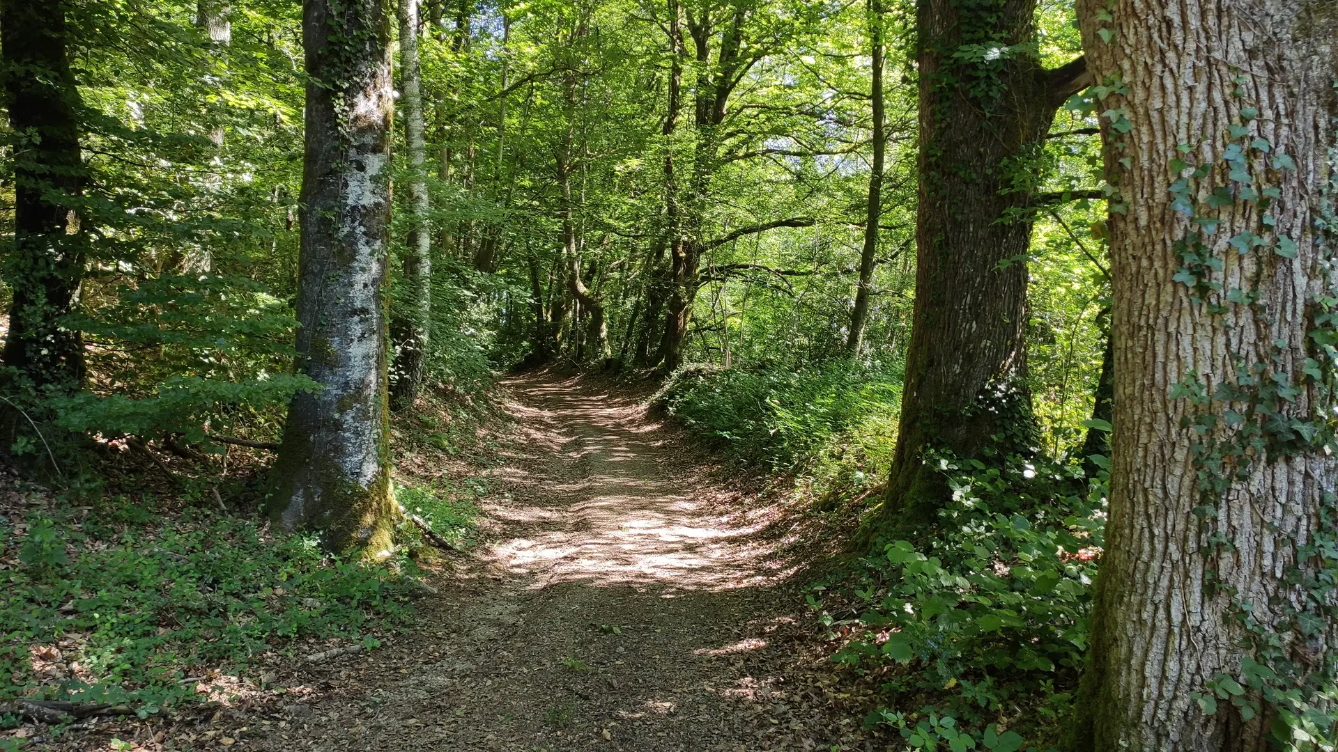 Sur le chemin - le Passadoux