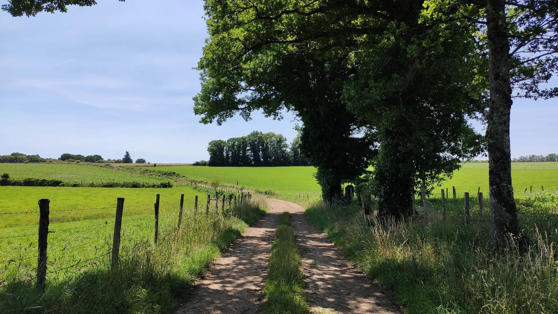 Sur le chemin du Puy la Brousse (4)