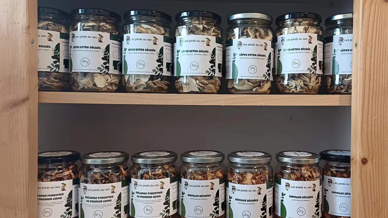 Thouron_Les_pieds_au_sec