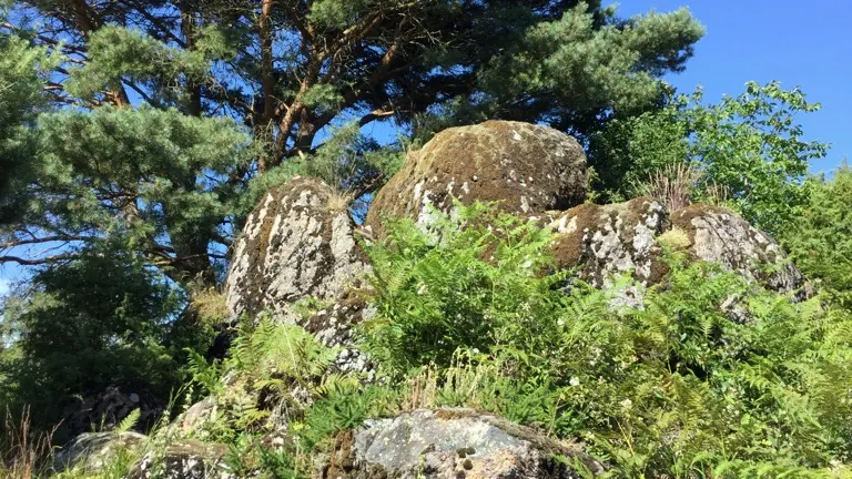 Tèrra Avenrura du bruit dans les Bruyères