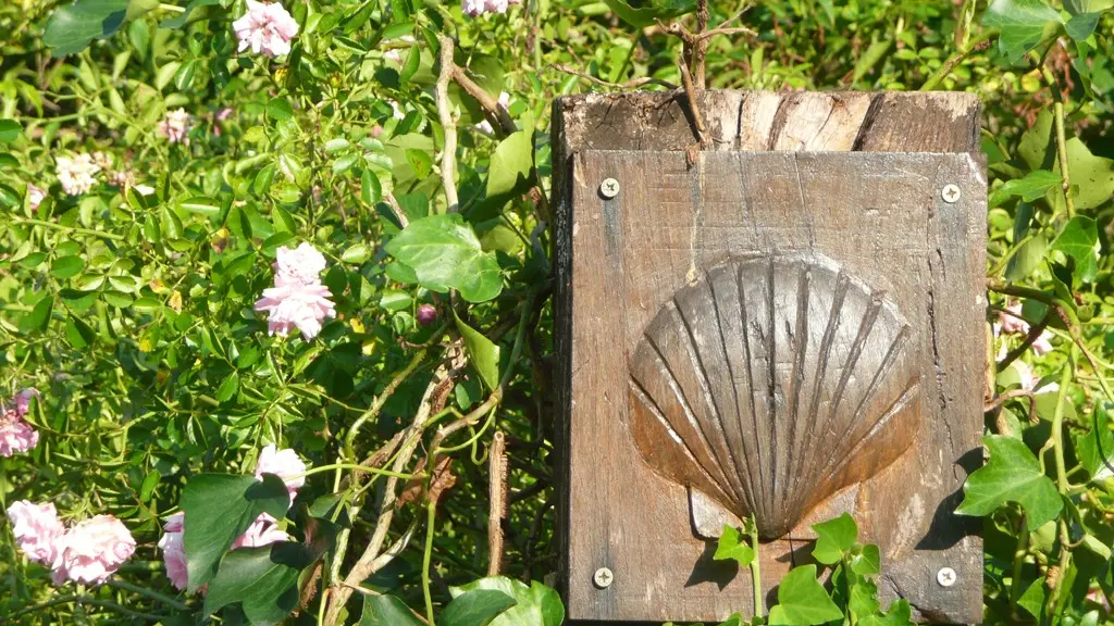 Coquille sur La Voie de Rocamadour en Limousin et Haut-Quercy_3
