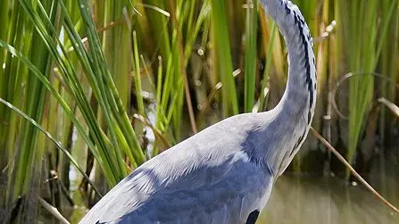 Circuit des Serves_2