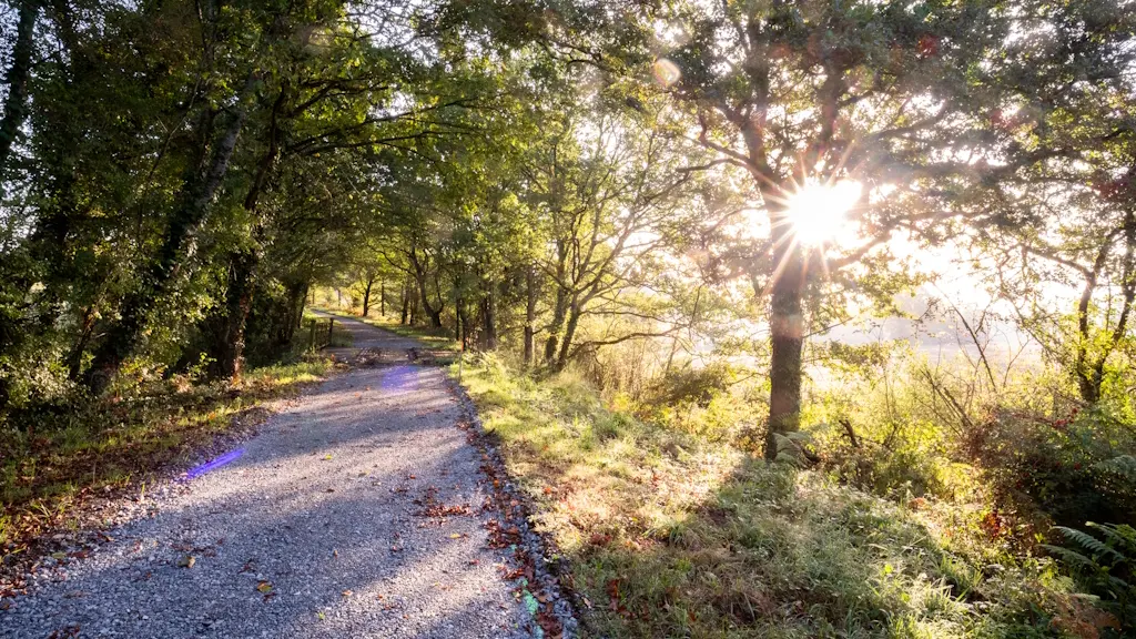 Voie Verte LA Chèvrerie- Le Dorat - Septembre 2023 - C JACQUINET-7914