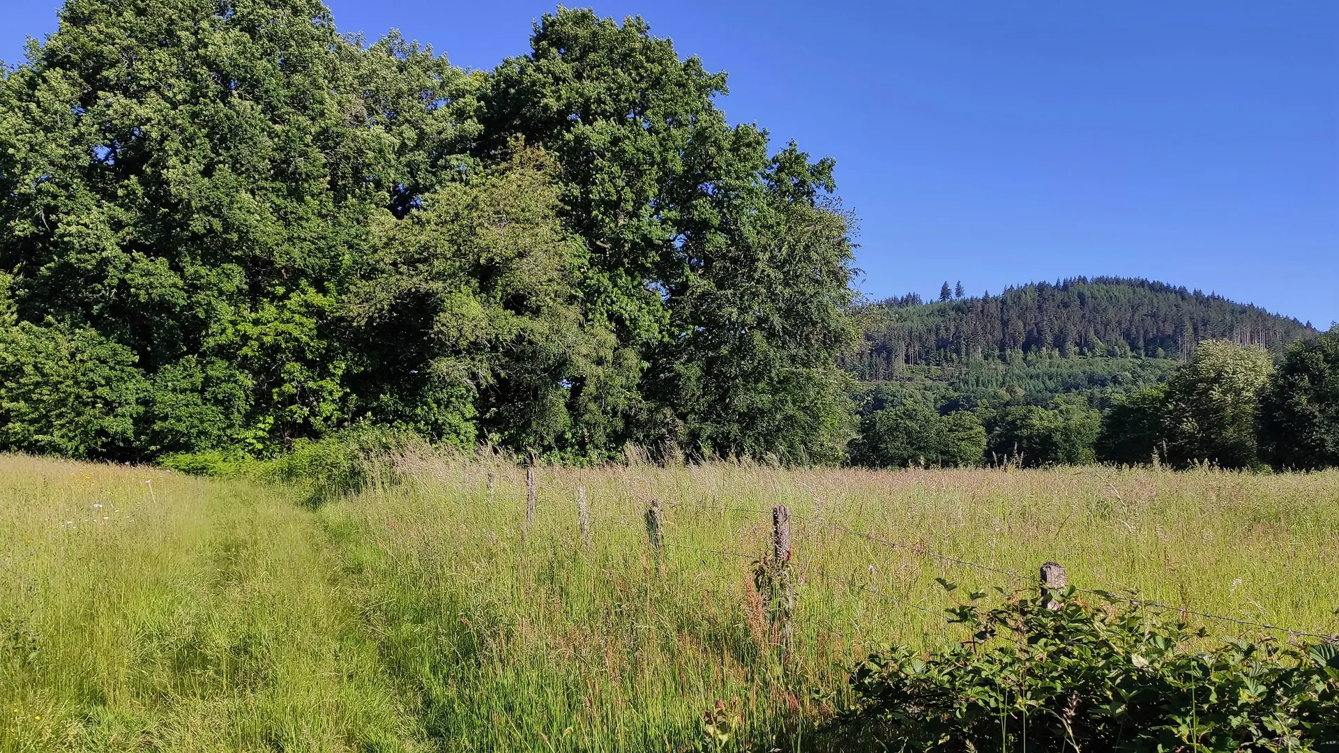 Vue sur le Mont Larron