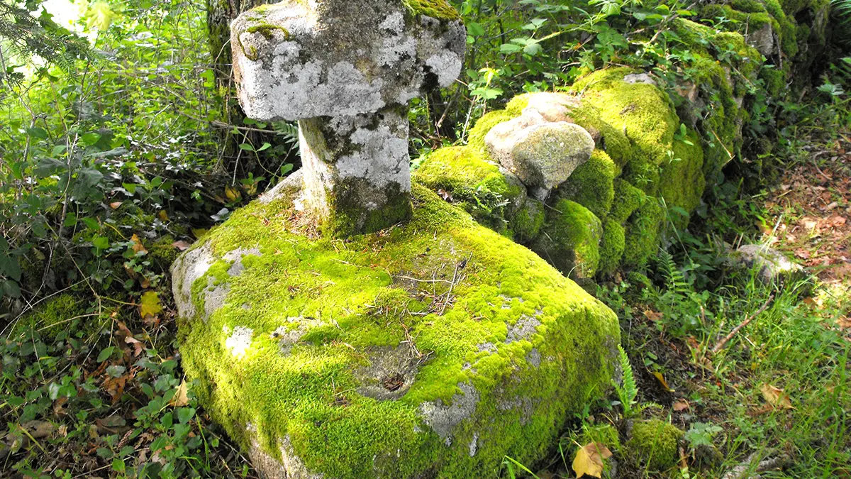 JABREILLES LES BORDES Croix Chavannat