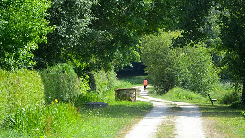 aire-de-pique-nique-flavignac