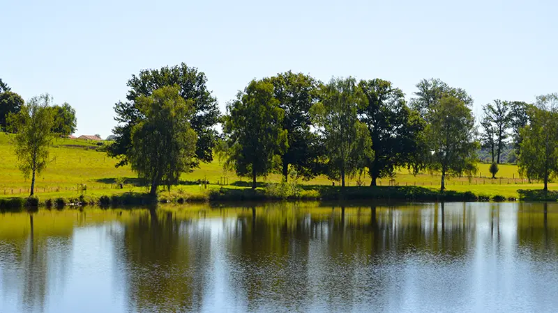 aire-de-pique-nique-saint-hilaire-les-places