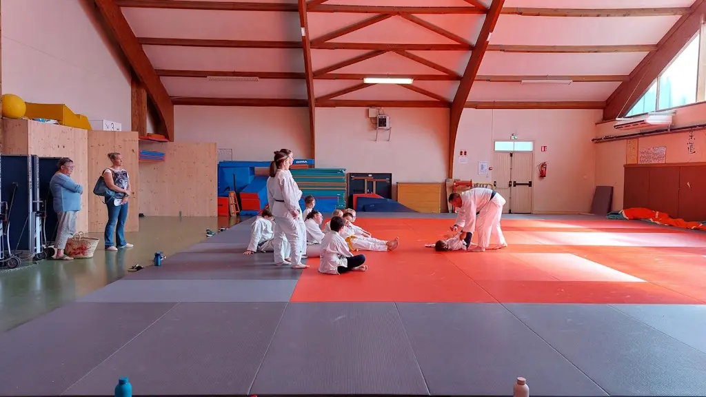 bessines fête du sport judo