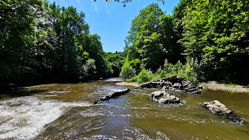 chalucet-saint-jean-ligoure