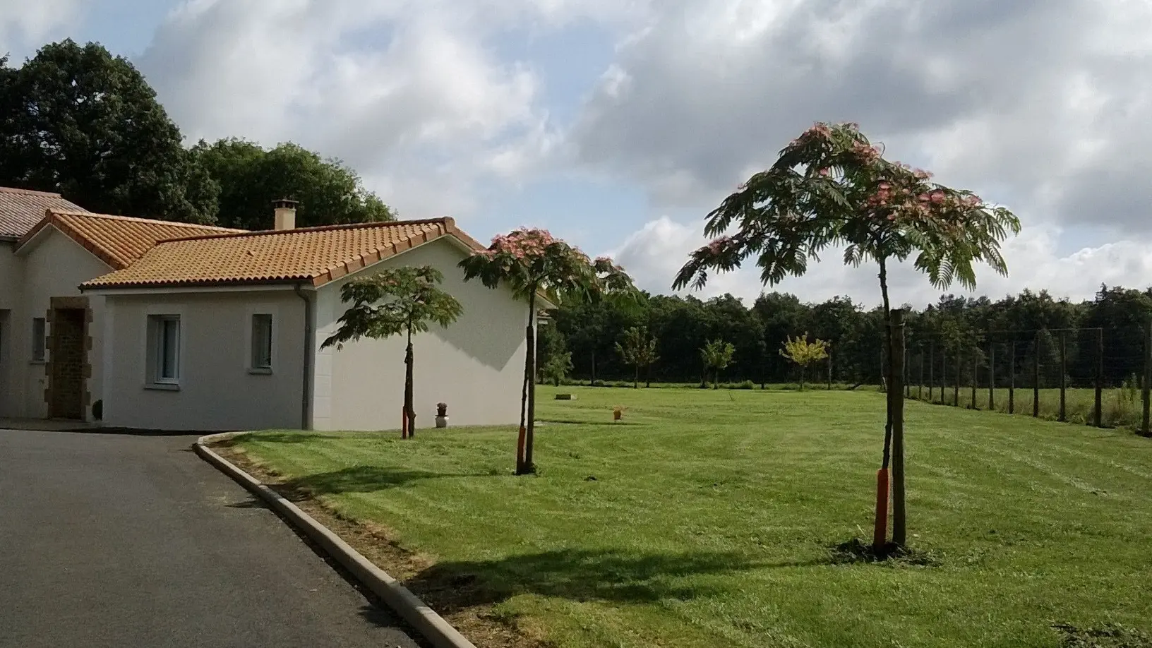 Chambre d'hôtes Référence - L'Orée des Bois du Roy_4