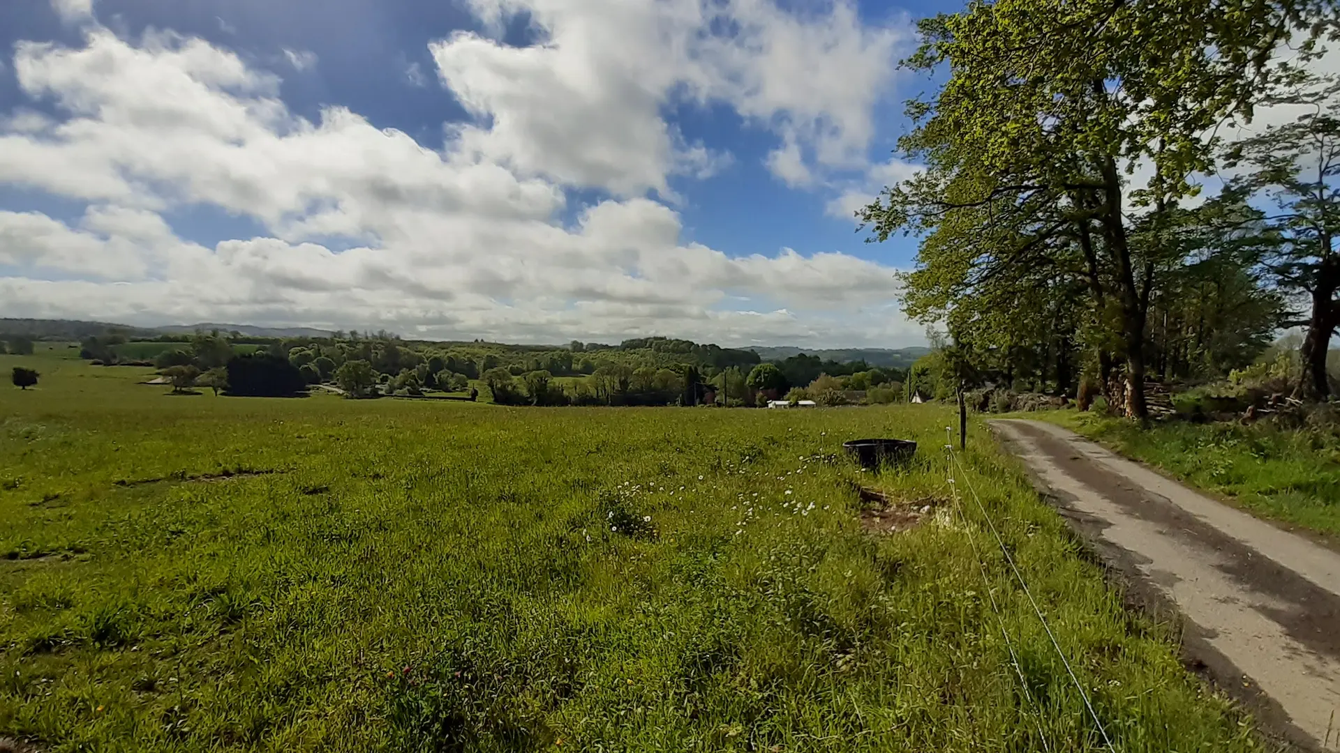 chemin dans campagne
