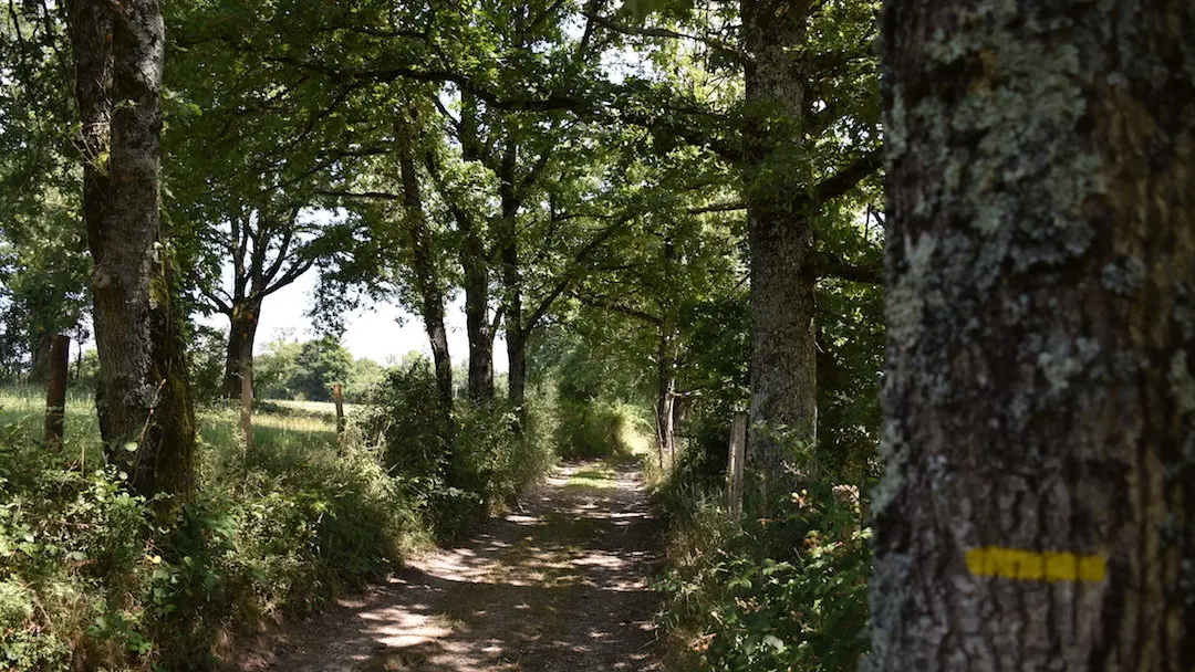 Le chemin des moulins_5