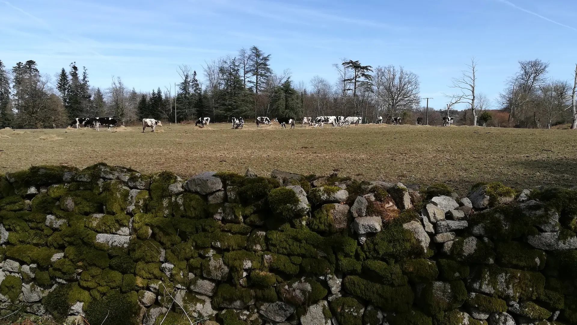 circuit des murets Aureil