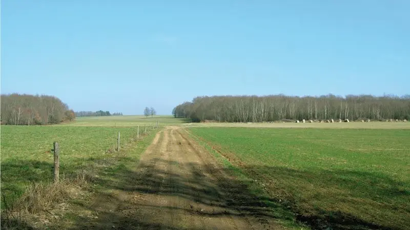 Sentier Les débutants - piste 6_3