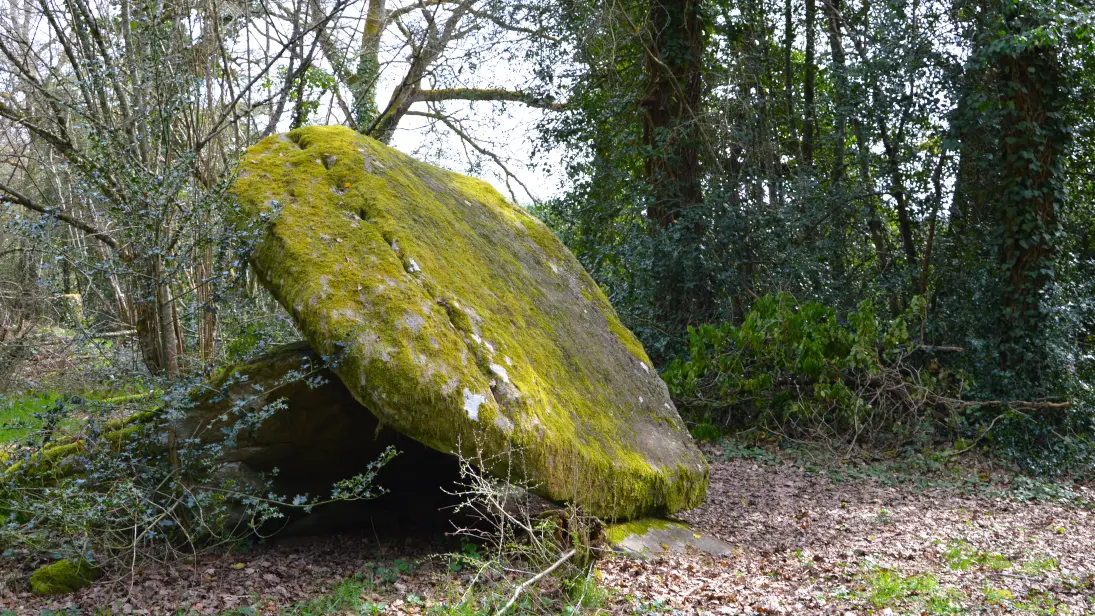 dolmen-de-la-goupillère-les-cars