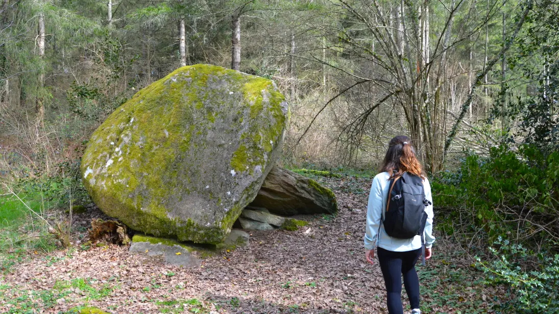 dolmen-de-la-goupillère-les-cars