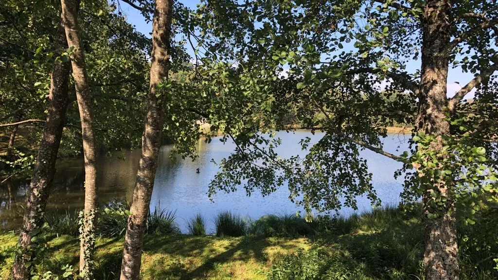 Landes des pierres du mas