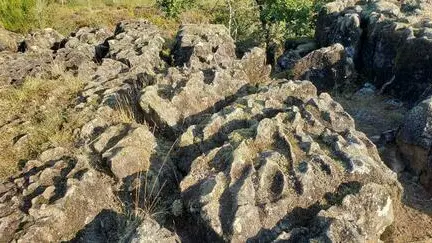 Landes des pierres du mas