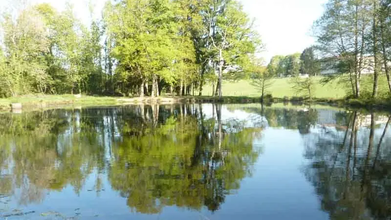 Forêt des Vaseix Sentier La promenade de l'étang_2