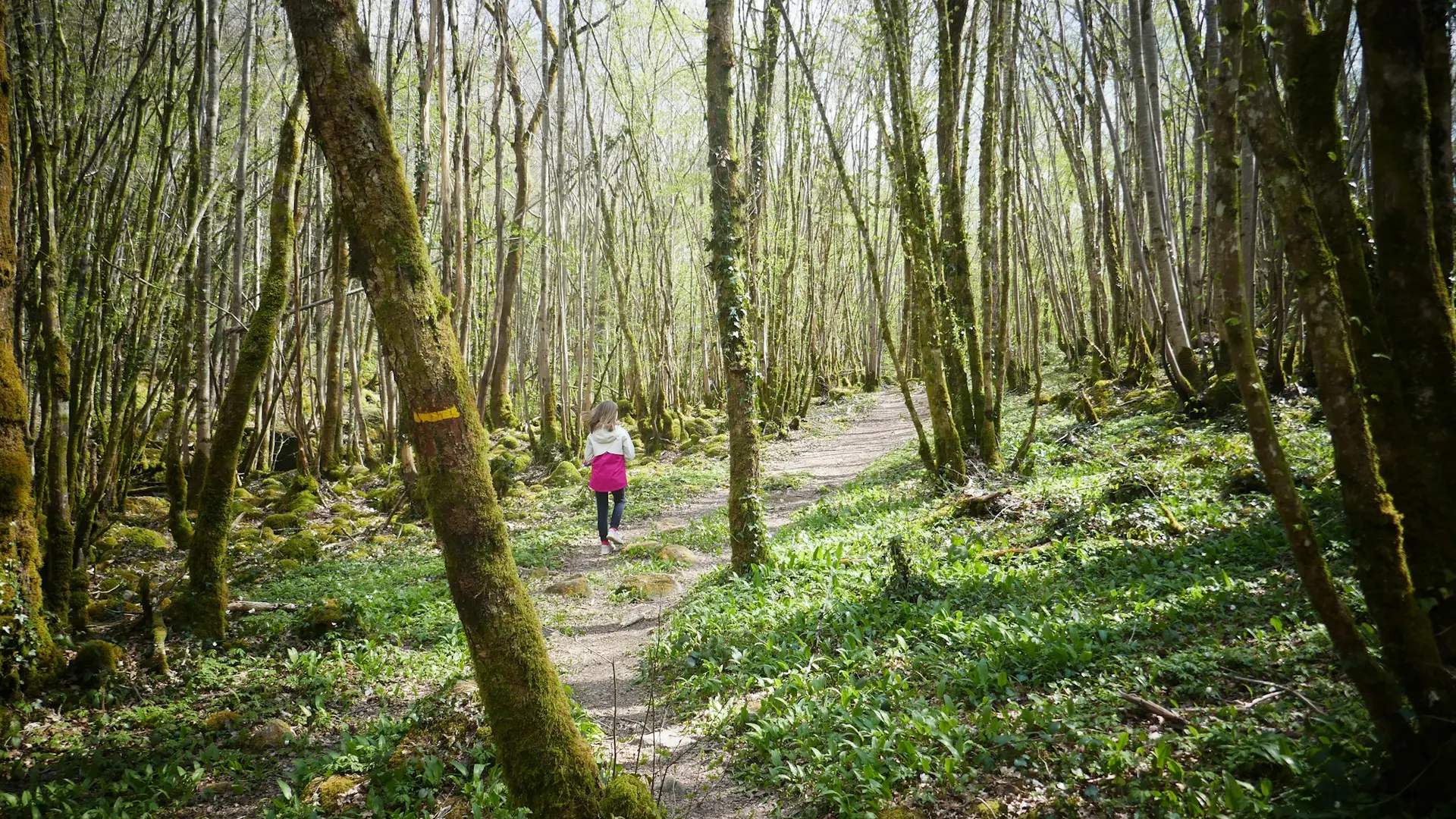 Géocaching Aux Pierres de la Lune en forêt d'Epagne