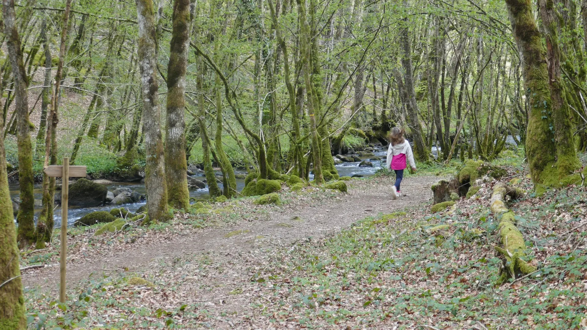 Géocaching à l'ombre en Limousin